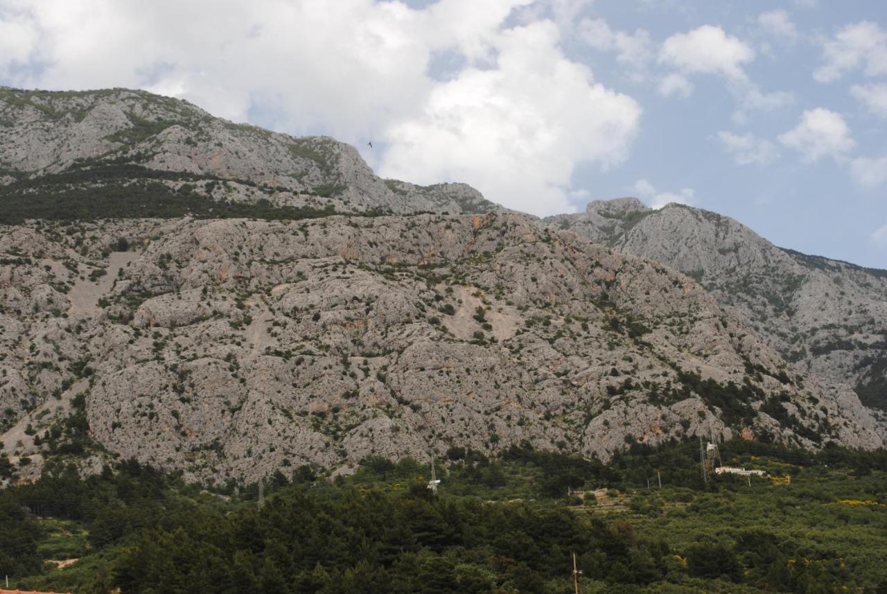 Apartments Natura Makarska Dış mekan fotoğraf